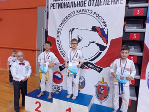 ЧЕМПИОНАТ И ПЕРВЕНСТВО ИВАНОВСКОЙ ОБЛАСТИ ПО ВСЕСТИЛЕВОМУ КАРАТЭ